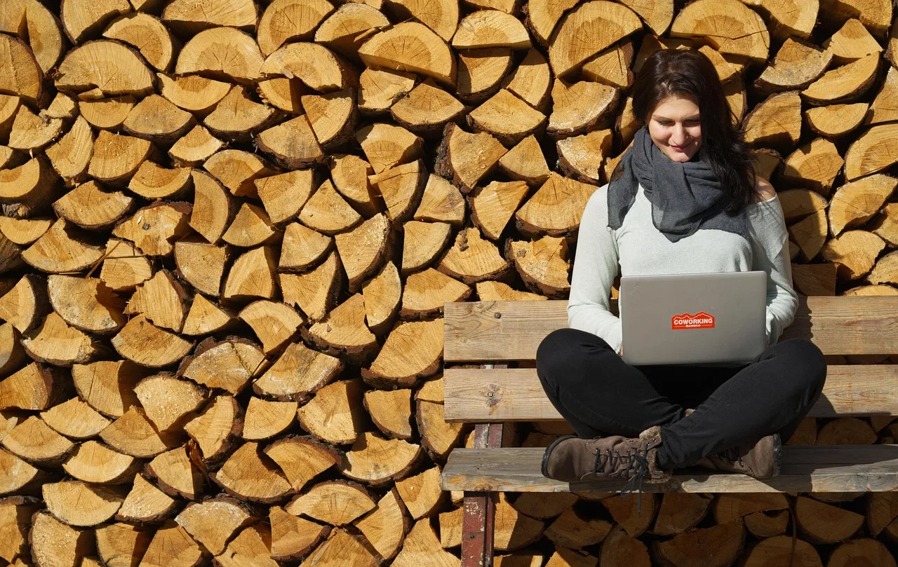 digital nomad, freelancer, mountains, remote, travel, nature, coworking, nomads, bansko